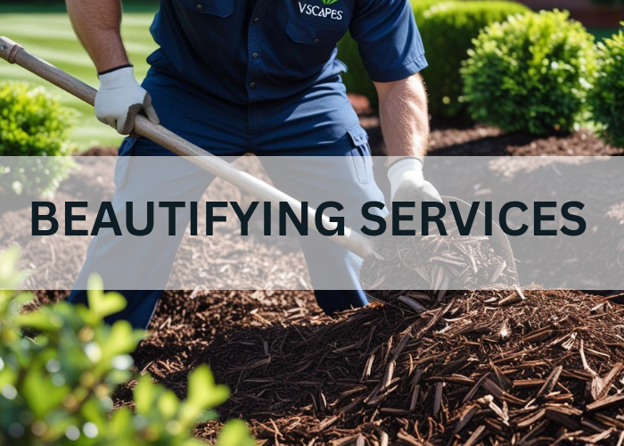 VISCAPEZ BEAUTIFYING 1.0