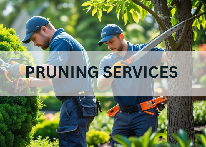 VISCAPEZ PRUNING 1.0