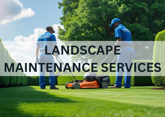 VISCAPEZ maintenance 1.0